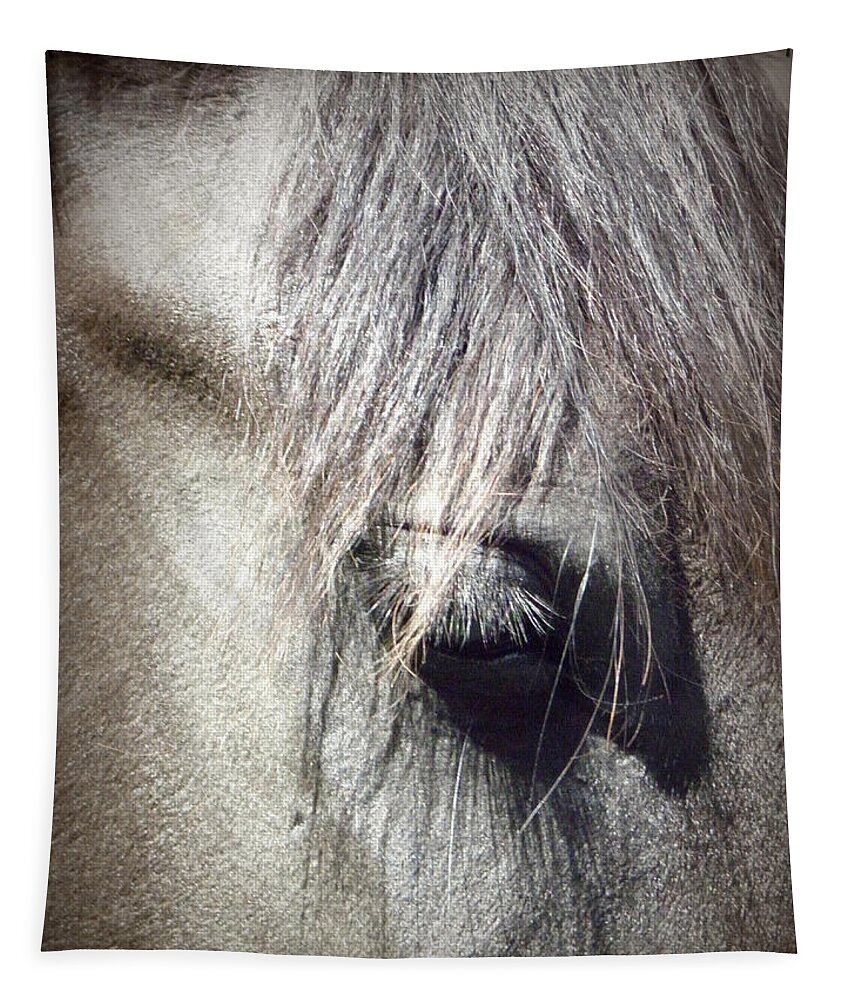 Friesian Horse Tapestry featuring the photograph At Peace by Kim Galluzzo