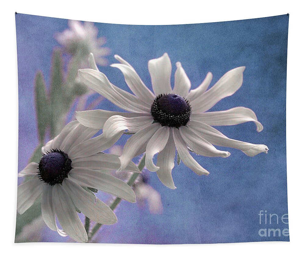 black Eyed Susan Tapestry featuring the photograph Attachement - s09at01 by Variance Collections