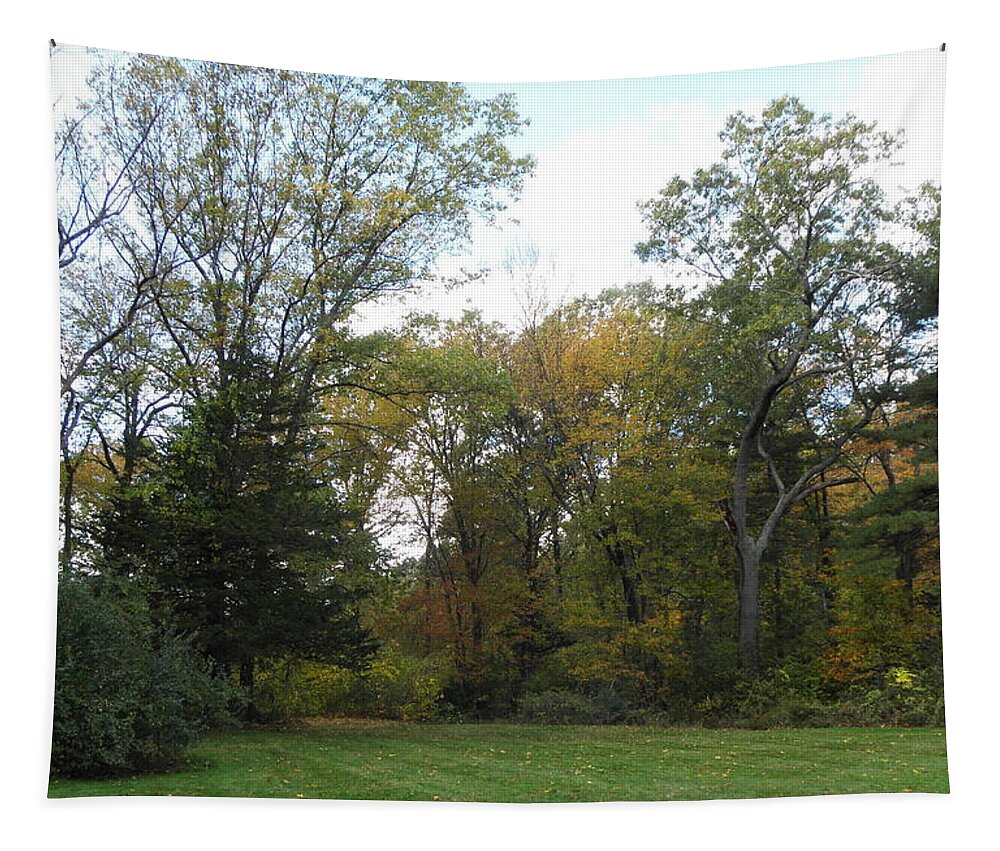 Autumn Tapestry featuring the photograph Autumn landscape in Massachusetts by Kim Galluzzo Wozniak