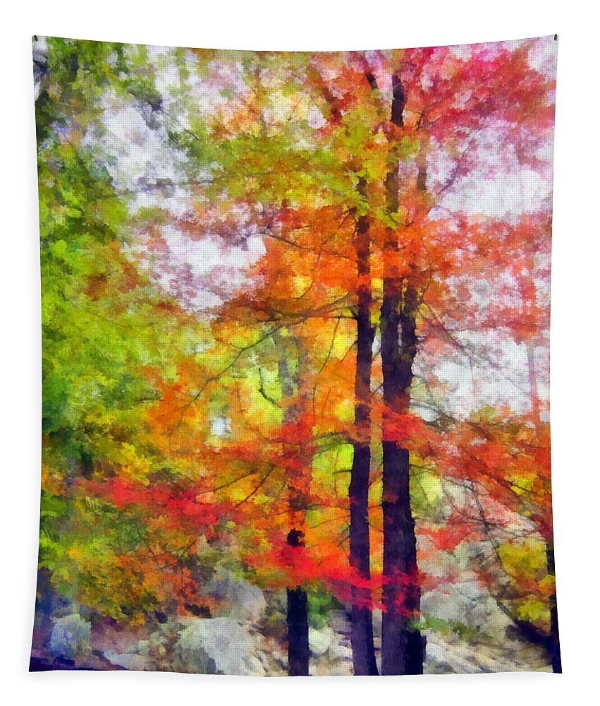 Tree Tapestry featuring the photograph Autumnal Rainbow by Angelina Tamez