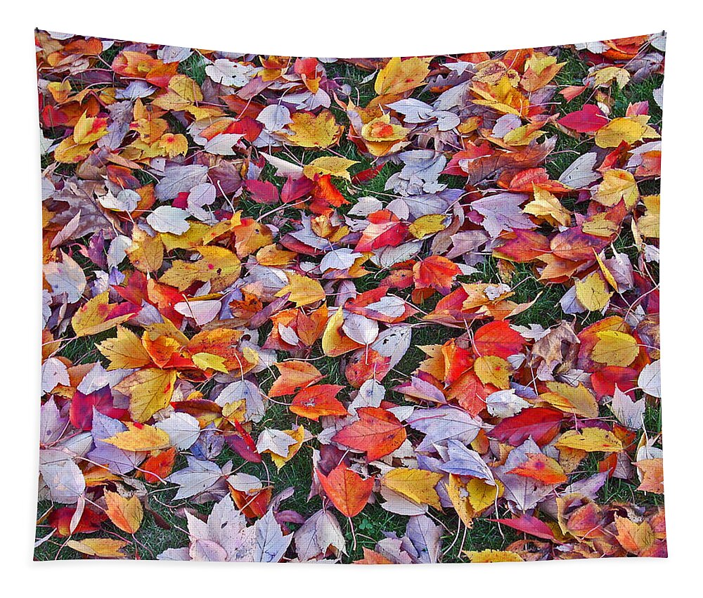 Autumn Leaves Tapestry featuring the photograph Autumns Carpet by Karin Dawn Kelshall- Best