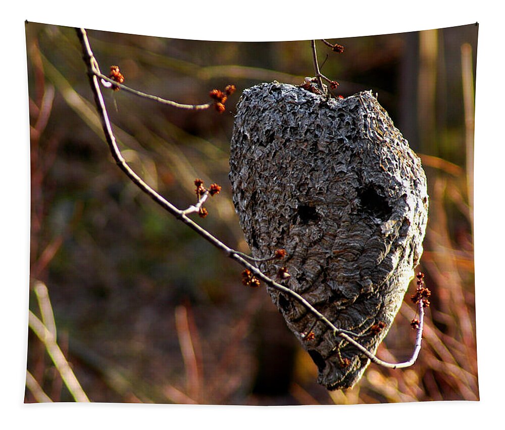 Usa Tapestry featuring the photograph Bald faced hornet nest by LeeAnn McLaneGoetz McLaneGoetzStudioLLCcom