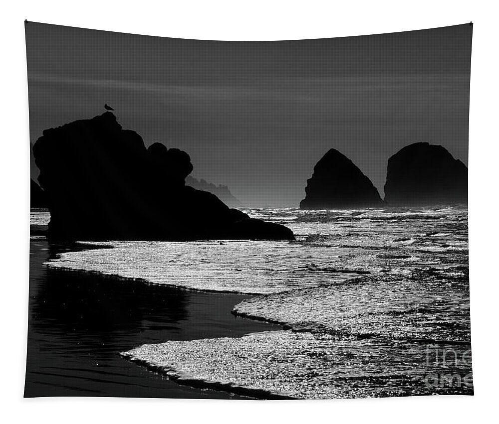 Bandon Beach Tapestry featuring the photograph Bandon By the Sea by Vivian Christopher