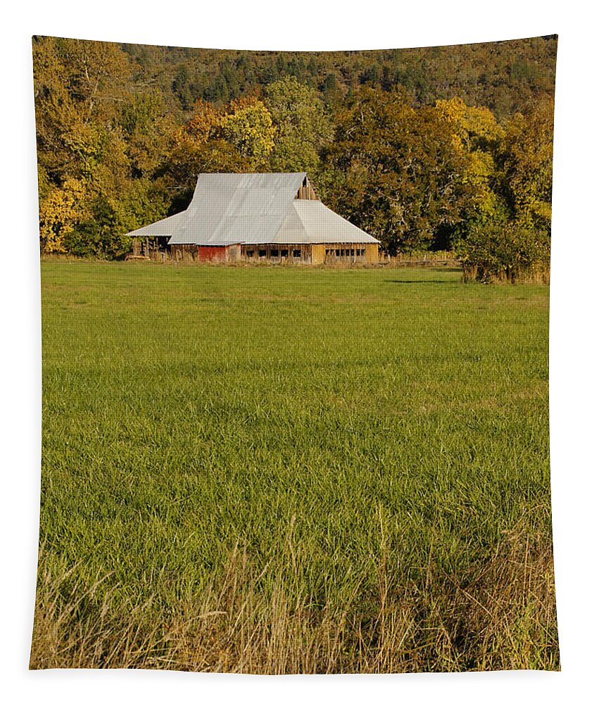 Barn Tapestry featuring the photograph Barn near Murphy by Mick Anderson