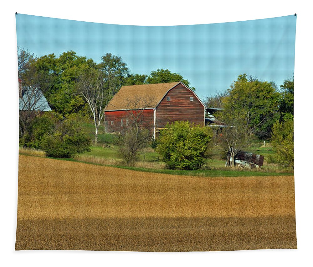 Barns Tapestry featuring the photograph Beans Are Ready by Ed Peterson