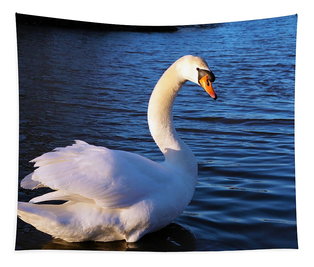 Swan Tapestry featuring the photograph Beautiful Swan by Gordon Dean II