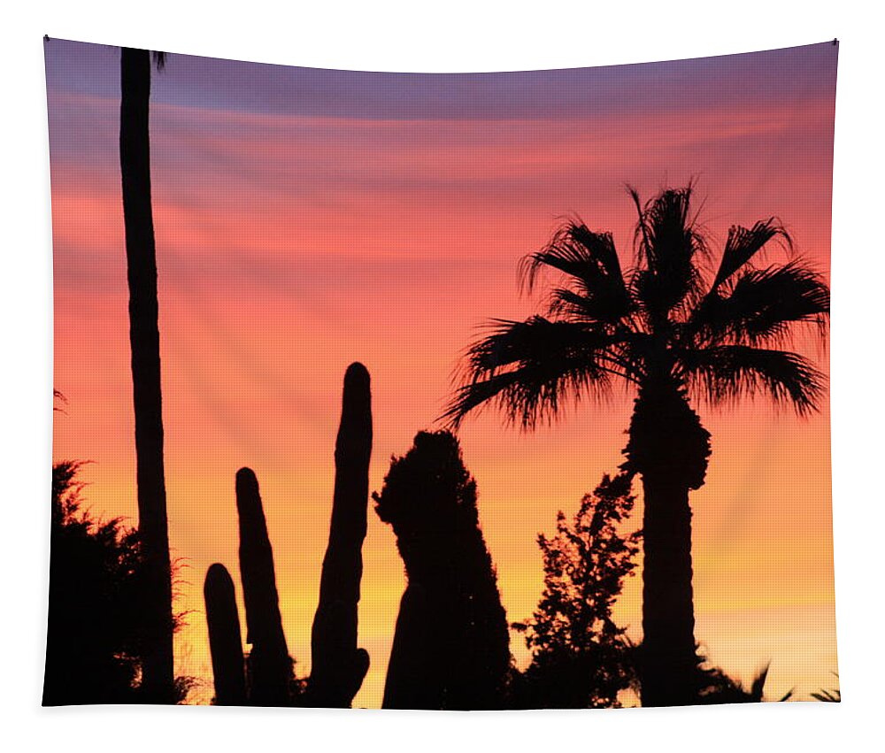 Palms Tapestry featuring the photograph Beauty Beyond by Kim Galluzzo
