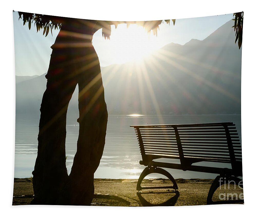 Bench Tapestry featuring the photograph Bench and a tree by Mats Silvan