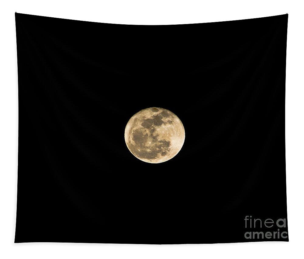Moon Tapestry featuring the photograph Big Moon Last Night by Mitch Shindelbower