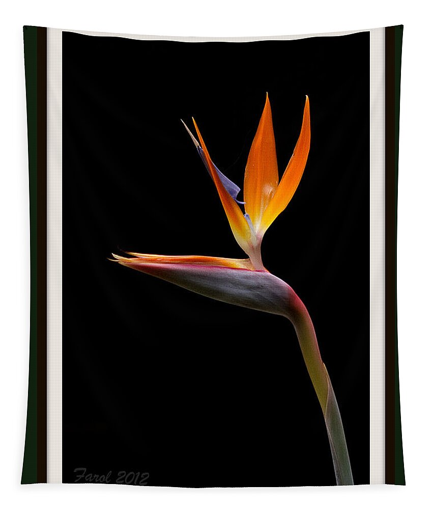 Flower Tapestry featuring the photograph Bird of Paradise by Farol Tomson