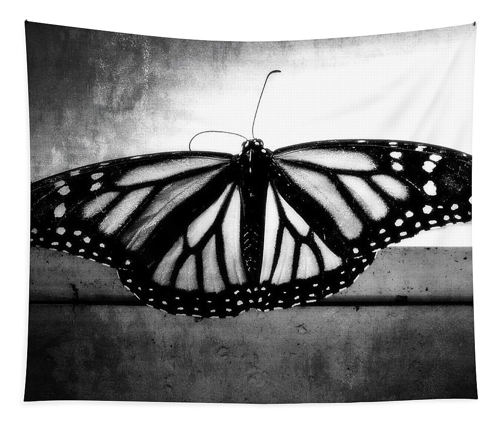 Black And White Tapestry featuring the photograph Black Butterfly by Julia Wilcox