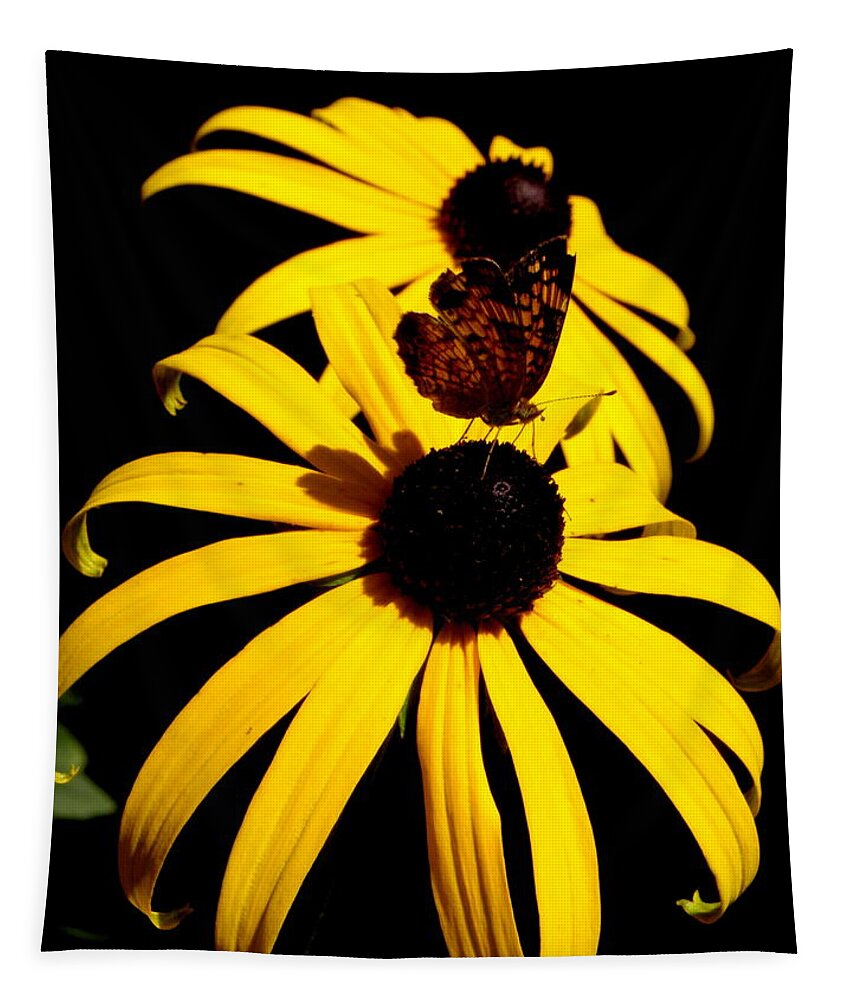 Butterfly Tapestry featuring the photograph Black eyed suzie with frantilly butterlfy by Kim Galluzzo
