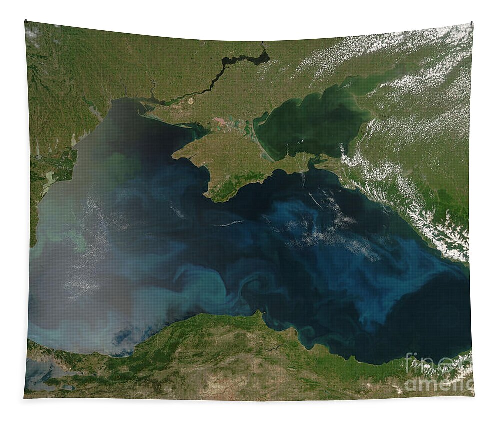 Black Sea Tapestry featuring the photograph Black Sea Phytoplankton by Nasa