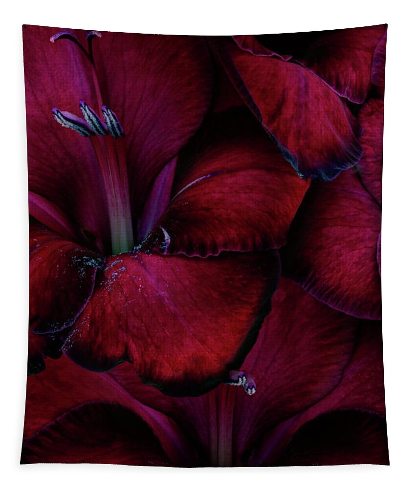 Gladiolus Tapestry featuring the photograph Blood Red Gladioli by Ann Garrett