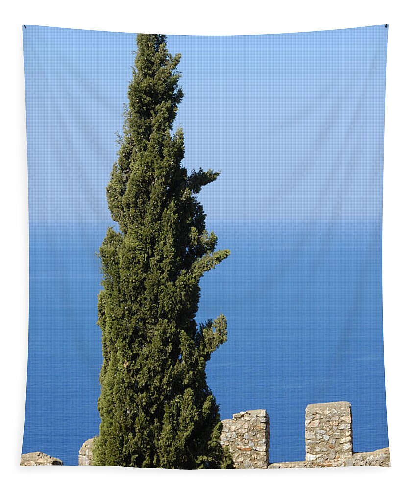 Serene Tapestry featuring the photograph Blue ocean and sky green tree - Serene and calming by Matthias Hauser