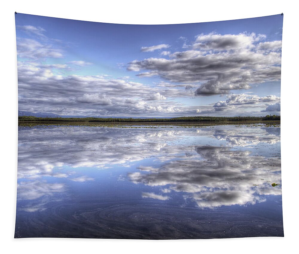 Lake Tapestry featuring the photograph Bottentnen Lake by Michele Cornelius