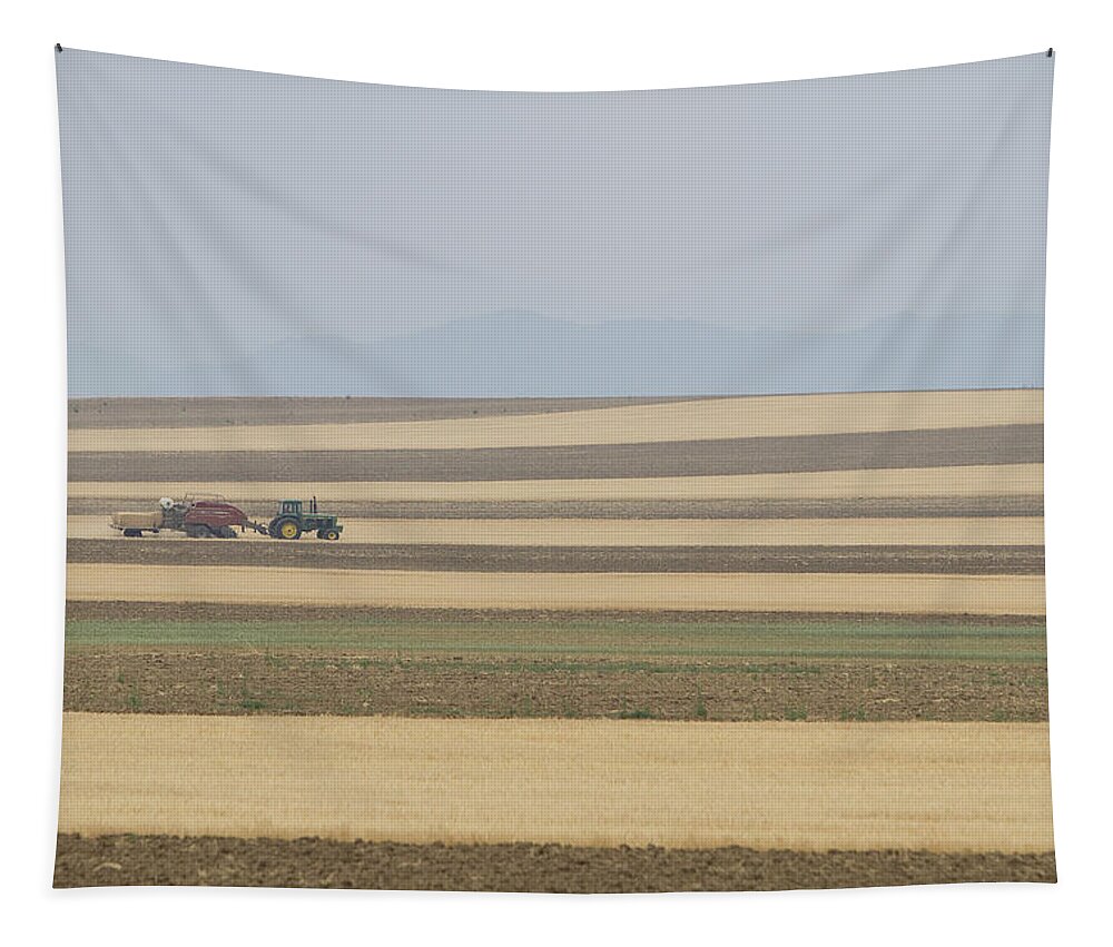 View Tapestry featuring the photograph Boulder County Colorado Open Space Country View by James BO Insogna