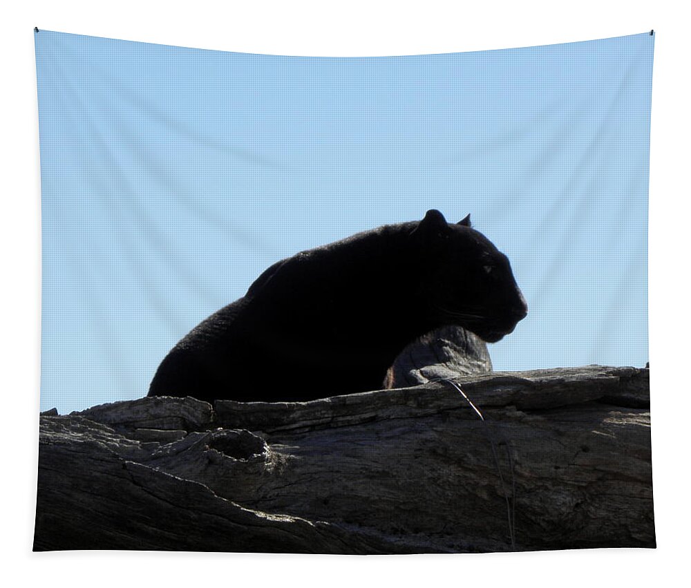Black Jaguar Tapestry featuring the photograph Breathless by Kim Galluzzo