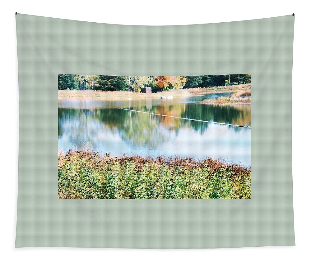 Lake Tapestry featuring the photograph Bright Lake by Samantha Lusby