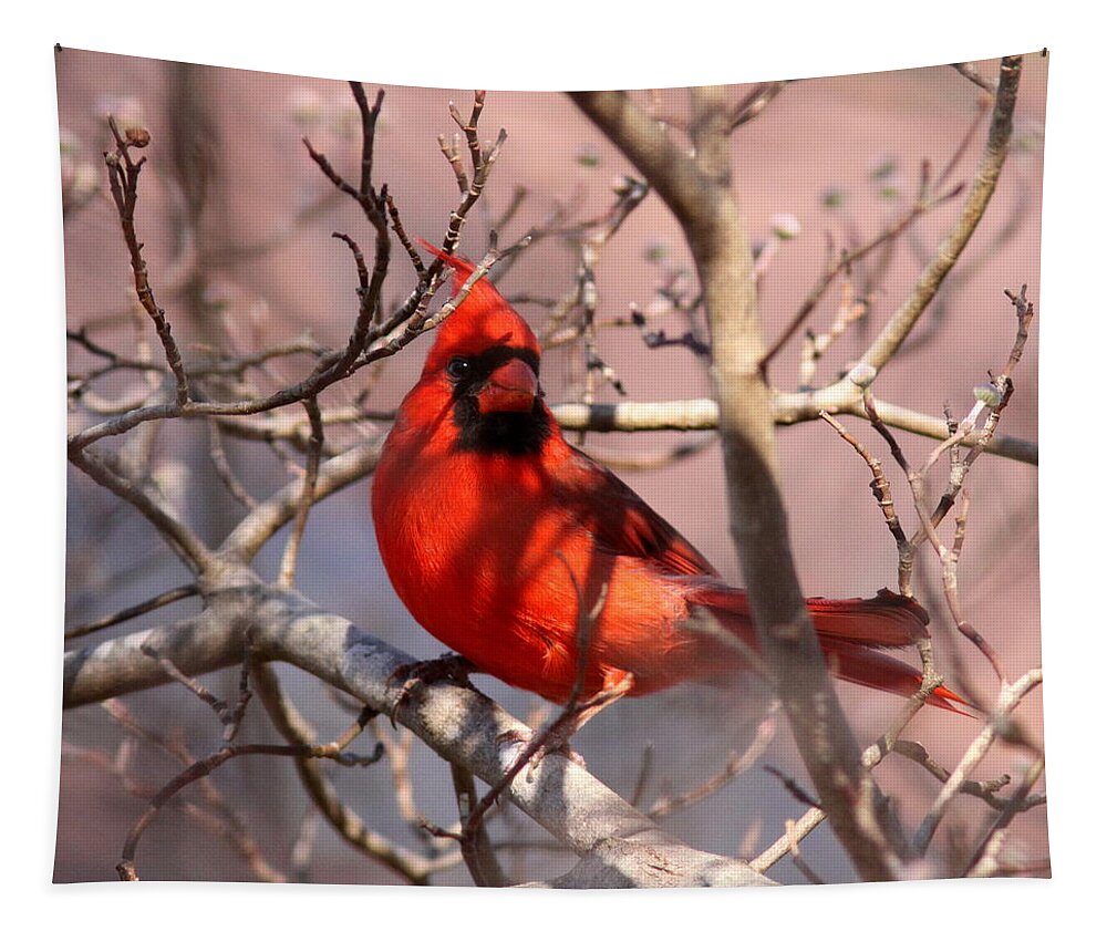 Nature Tapestry featuring the photograph Bright Red by Travis Truelove
