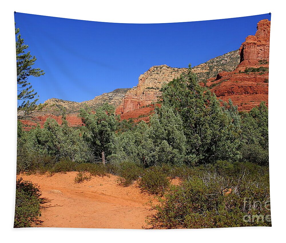 Sedona Tapestry featuring the photograph Brins Path by Julie Lueders 