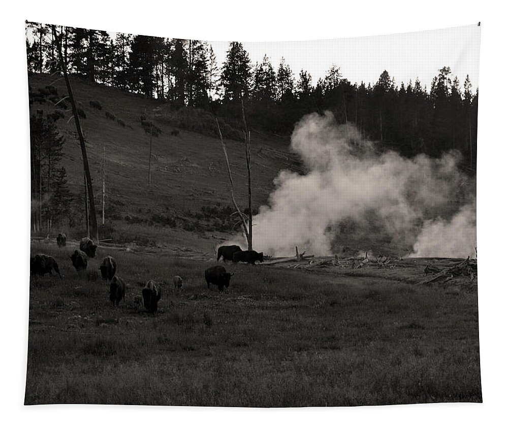 Nature Tapestry featuring the photograph Buffalo Apocalypse by La Dolce Vita