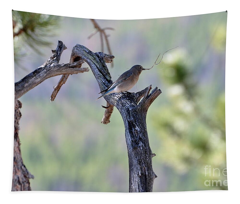 Birds Tapestry featuring the photograph Building Her Nest by Dorrene BrownButterfield