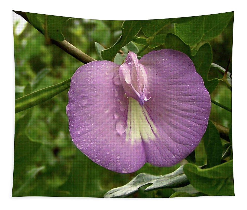 Nature Tapestry featuring the photograph Butterfly Pea by Peggy Urban