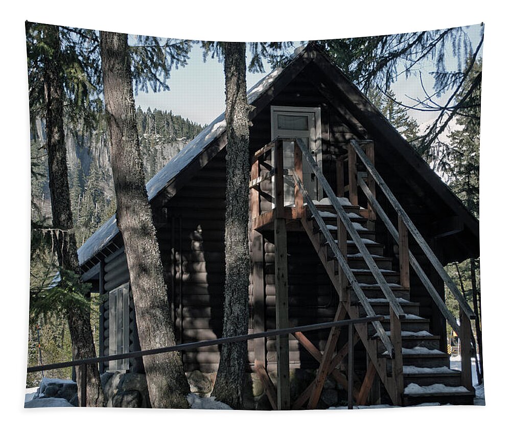 Nature Tapestry featuring the photograph Cabin Get Away by Tikvah's Hope