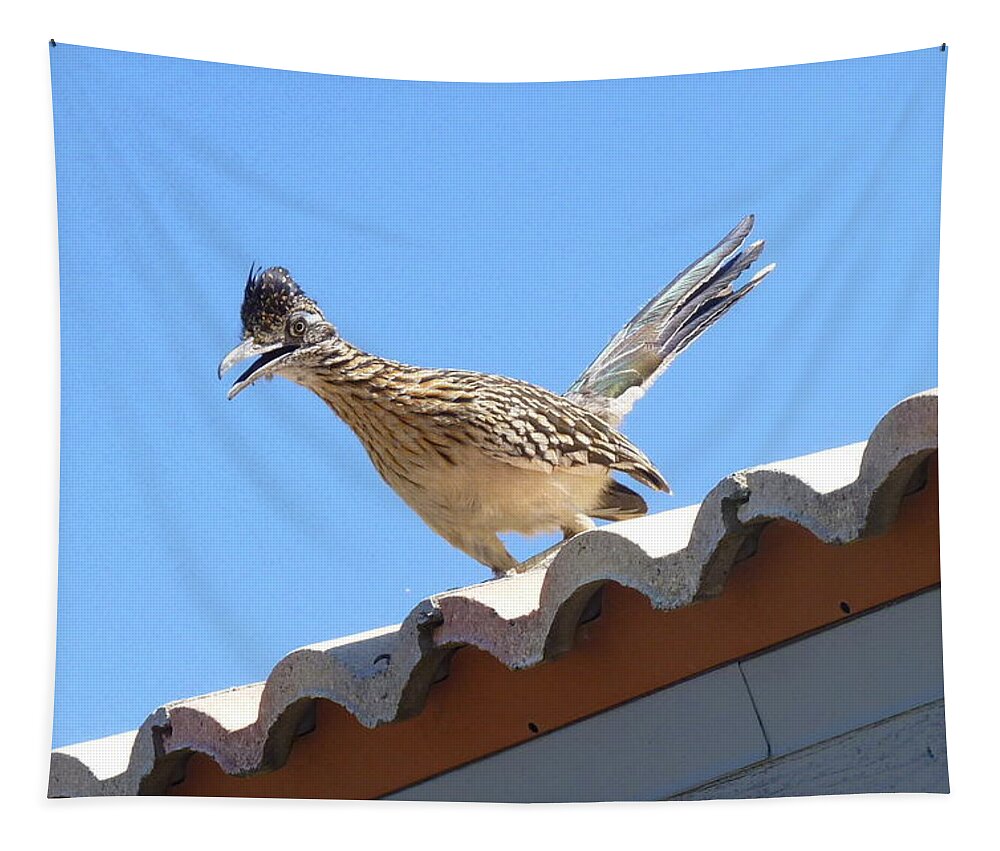 Roadrunner Tapestry featuring the photograph California Roadrunner by Carla Parris