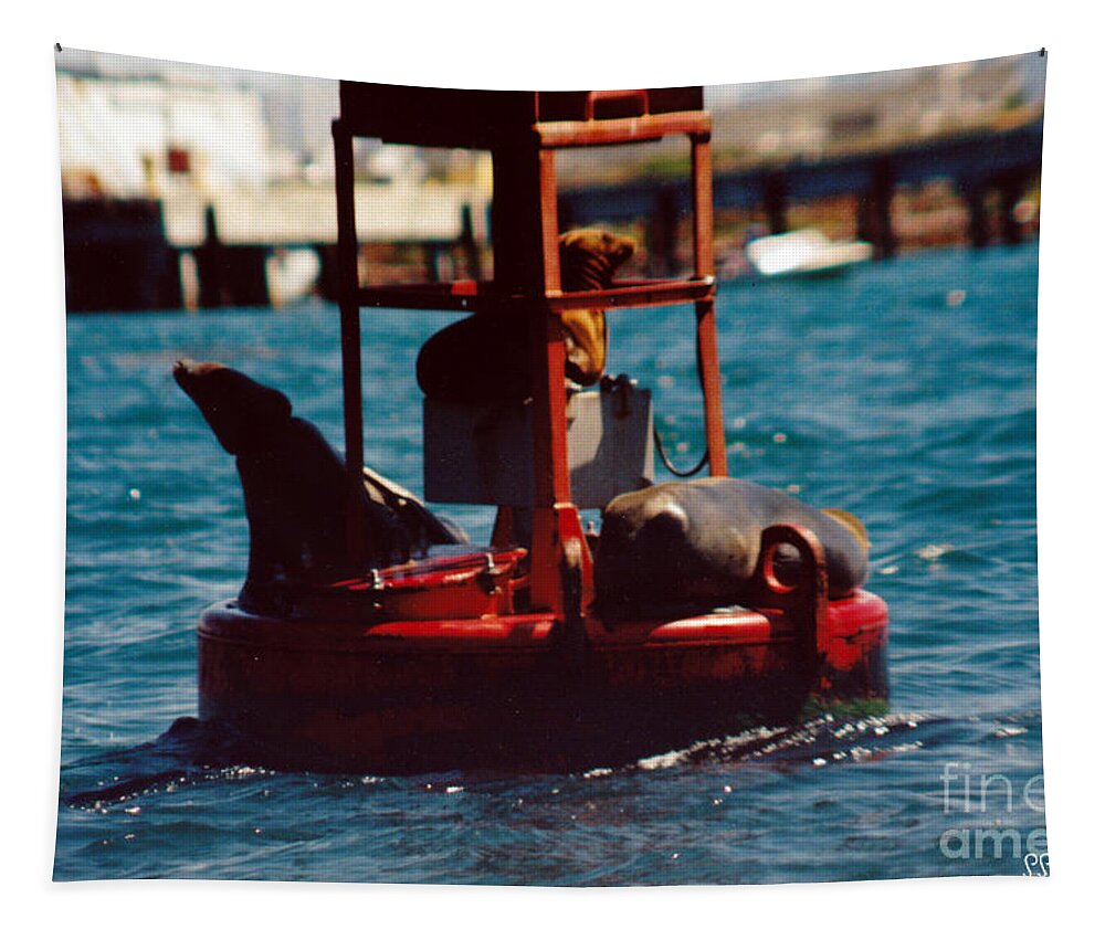 California Seals On Buoy 10 Resting Tapestry featuring the photograph California Seals on Buoy 10 Resting by Susan Stevens Crosby