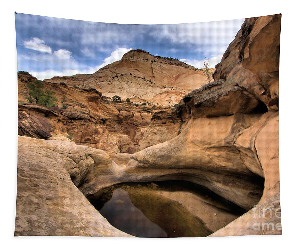 Capitol Reef National Park Tapestry featuring the photograph Canyon Pool by Adam Jewell