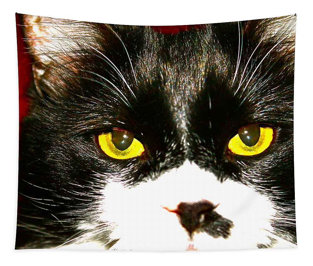 Cat Tapestry featuring the photograph Cats Eyes by Pamela Walrath