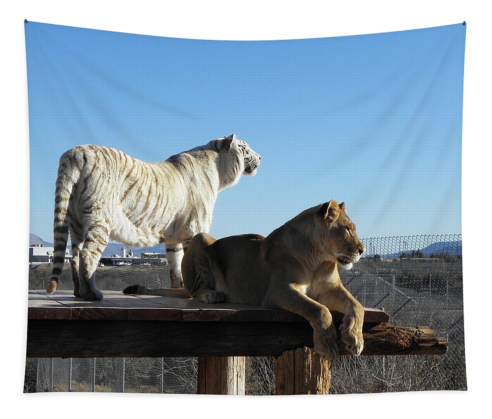 Lion Tapestry featuring the photograph Chalet and Kumba by Kim Galluzzo Wozniak