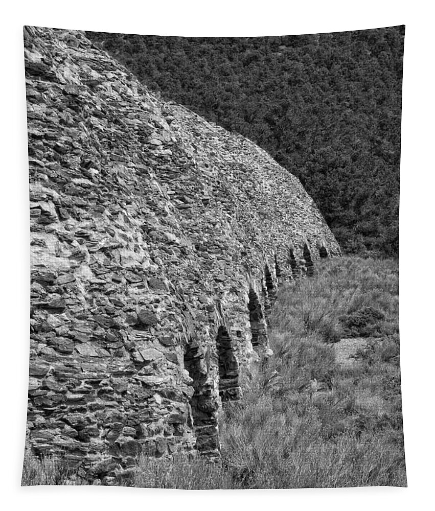 Charcoal Tapestry featuring the photograph Charcoal Kilns by Betty Depee