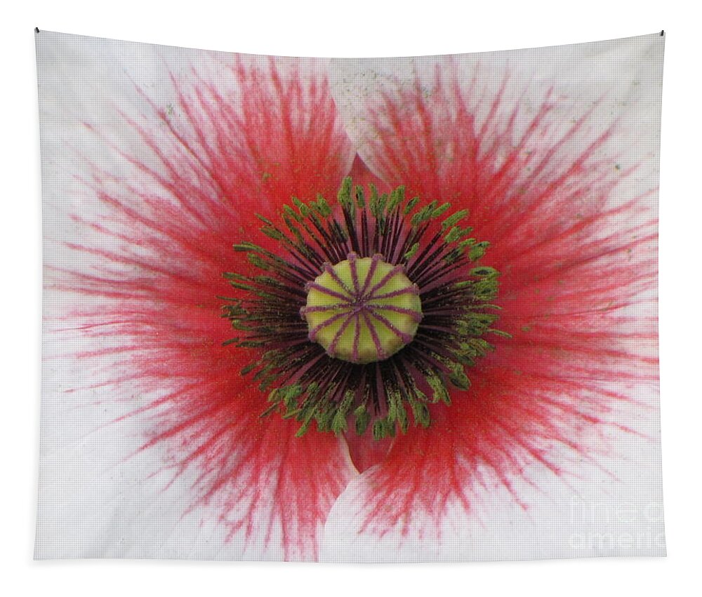 Poppy Tapestry featuring the photograph Charisma by Michele Penner