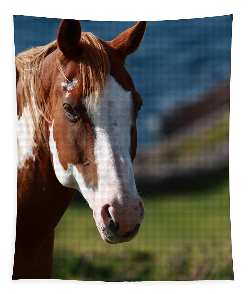 Horse Tapestry featuring the photograph Chestnut Mare by Aidan Moran