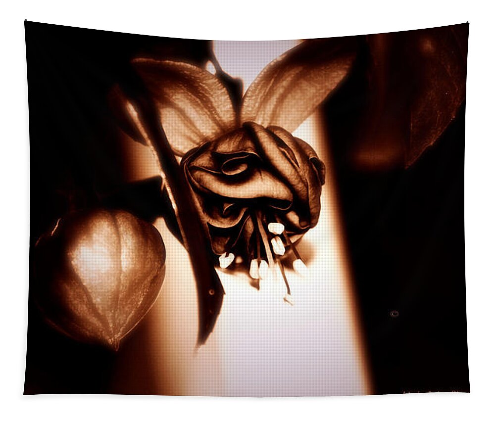 Chocolate Tapestry featuring the photograph Chocolate Silk Fuchsia II by Jeanette C Landstrom