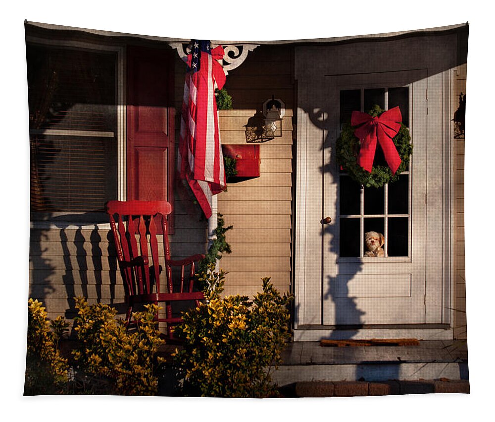 Christmas Tapestry featuring the photograph Christmas - Clinton NJ - How much is that doggy in the window by Mike Savad