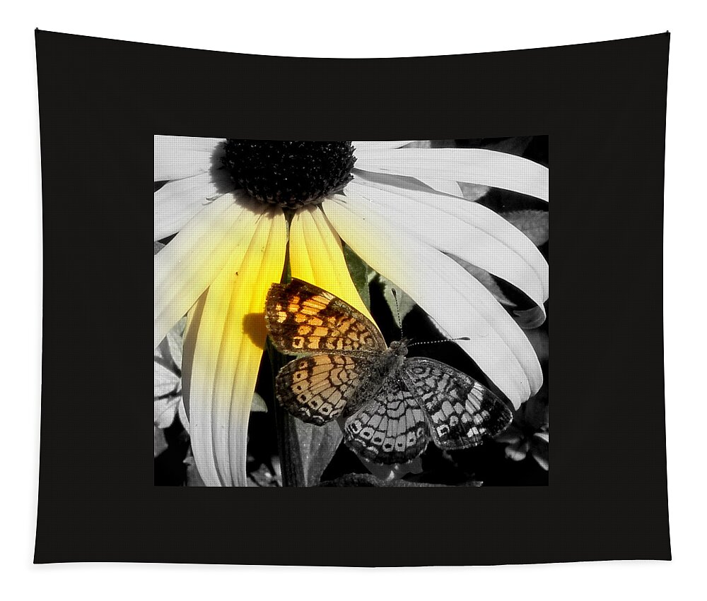 Butterfly Tapestry featuring the photograph Close Up And Person Focal Black And White by Kim Galluzzo