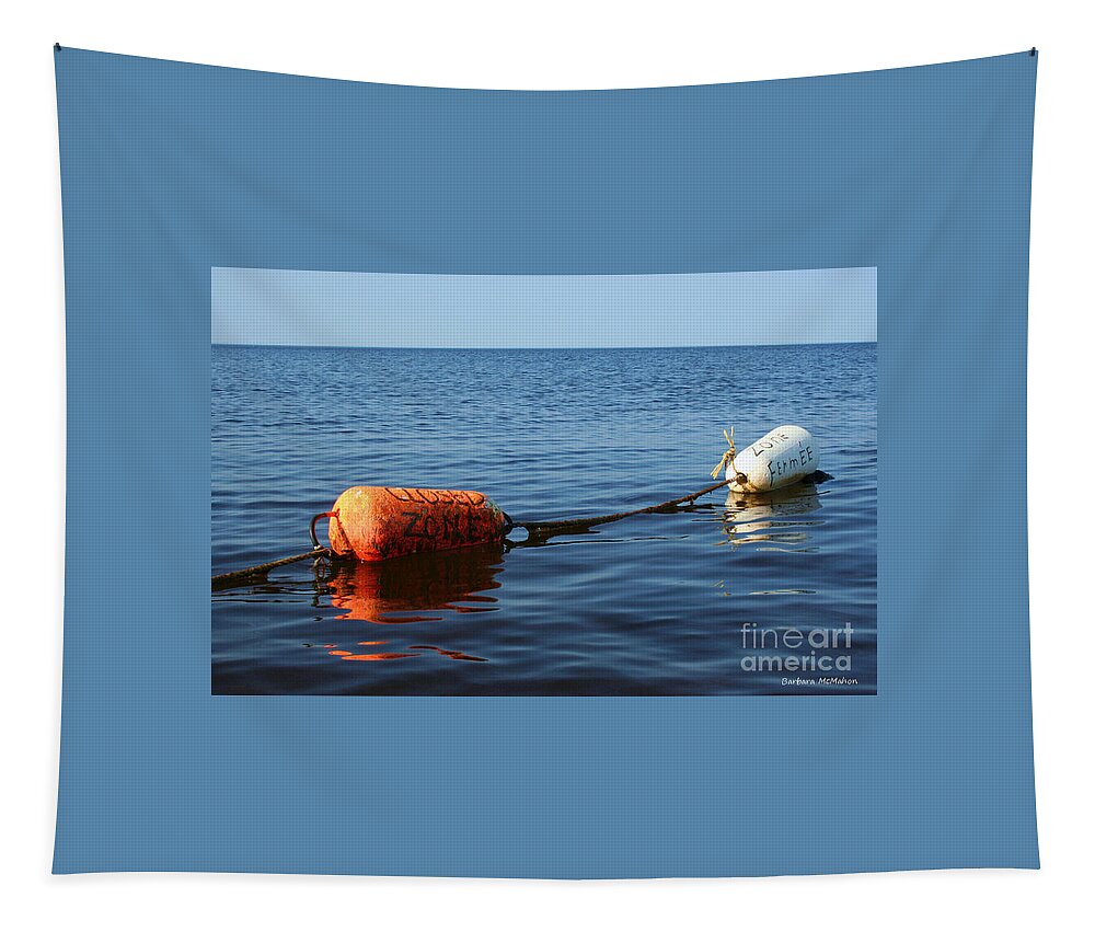 Buoy Tapestry featuring the photograph Closed by Barbara McMahon