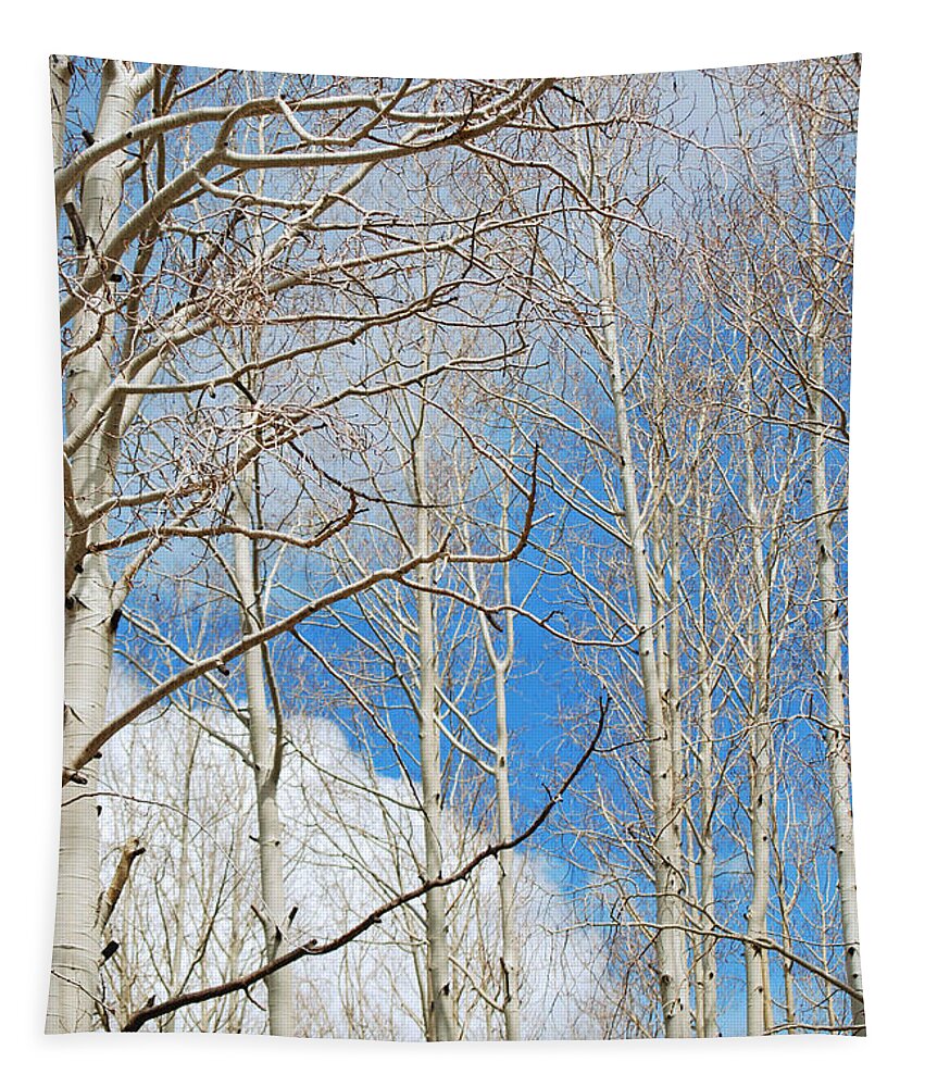 Fine Art Tapestry featuring the photograph Cloudy Aspen Sky by Donna Greene