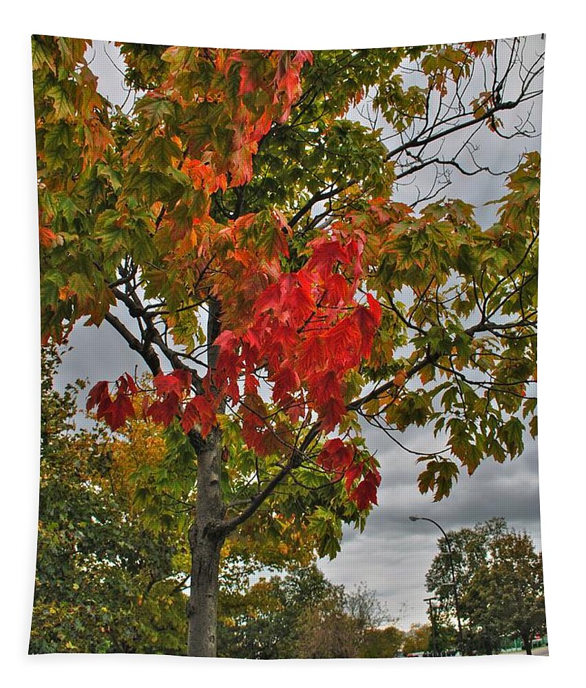  Tapestry featuring the photograph Cold Autumn Breeze by Michael Frank Jr