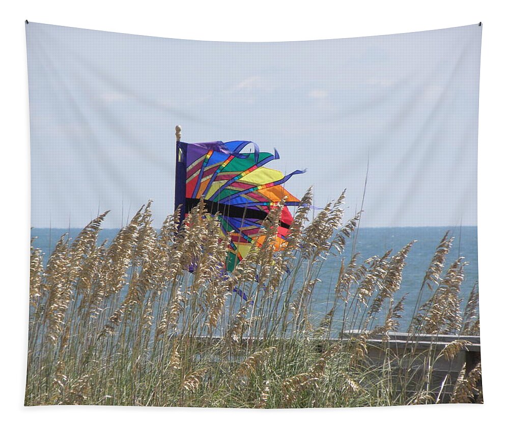 Flag Tapestry featuring the photograph Color And Wind by Kim Galluzzo