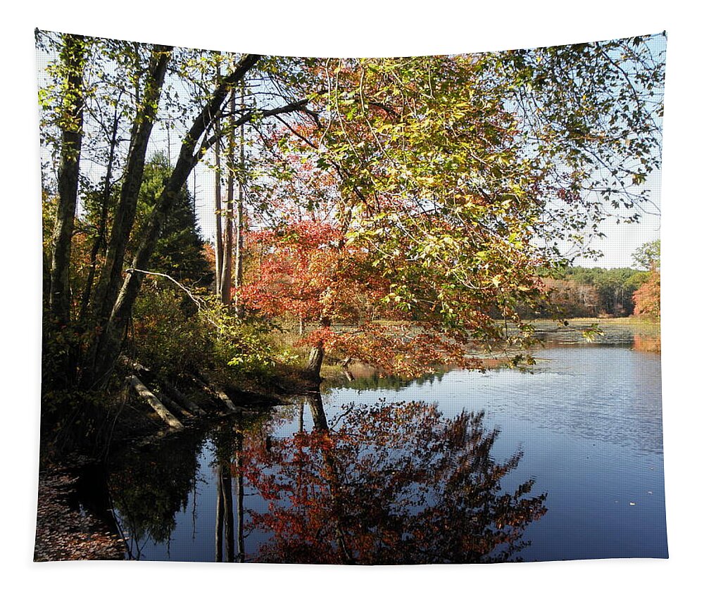 Colors Tapestry featuring the photograph colors of October by Kim Galluzzo