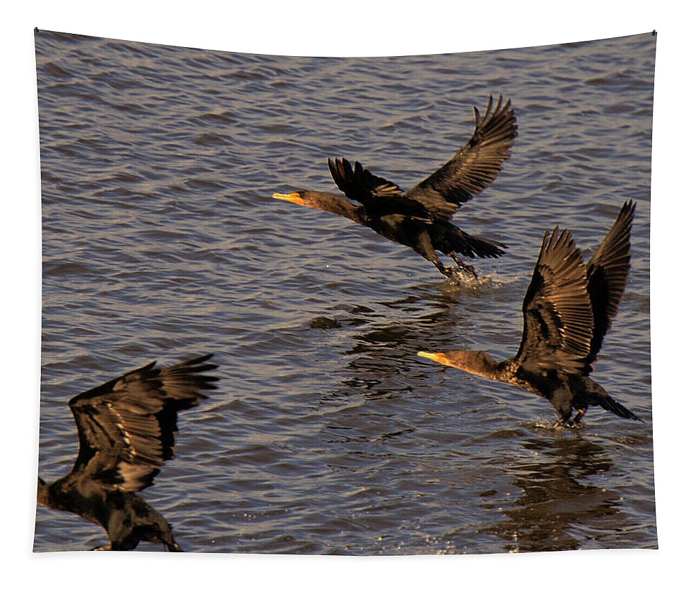 Cormorants Tapestry featuring the photograph Cormorants in Flight 1 by Lawrence Christopher