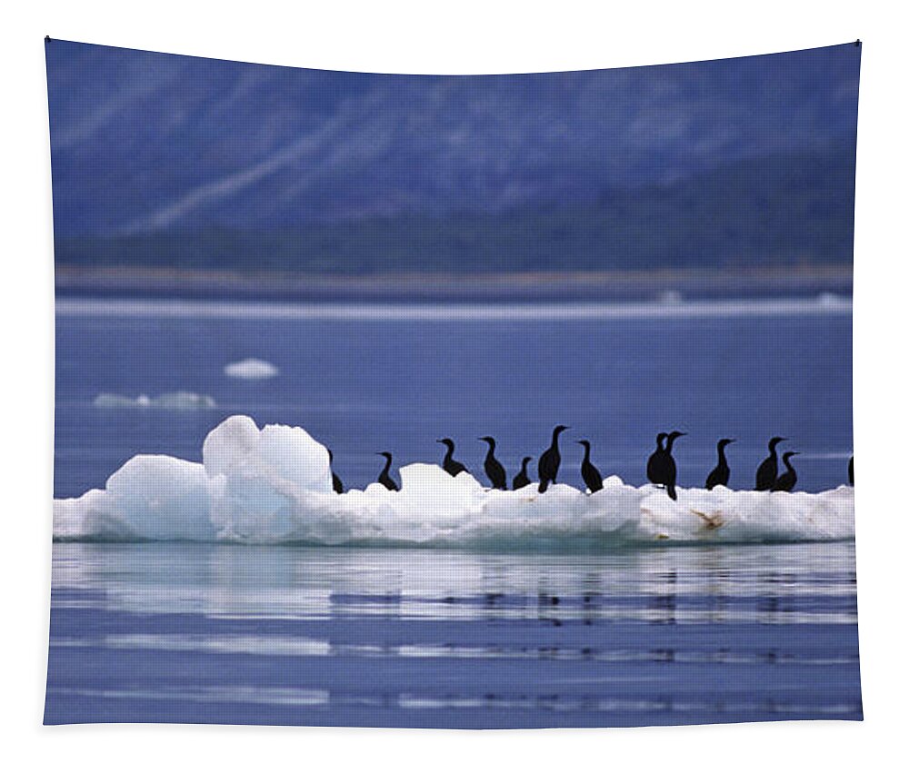 Craig Lovell Tapestry featuring the photograph Cormorants on Ice Floe - Glacier Bay Alaska by Craig Lovell