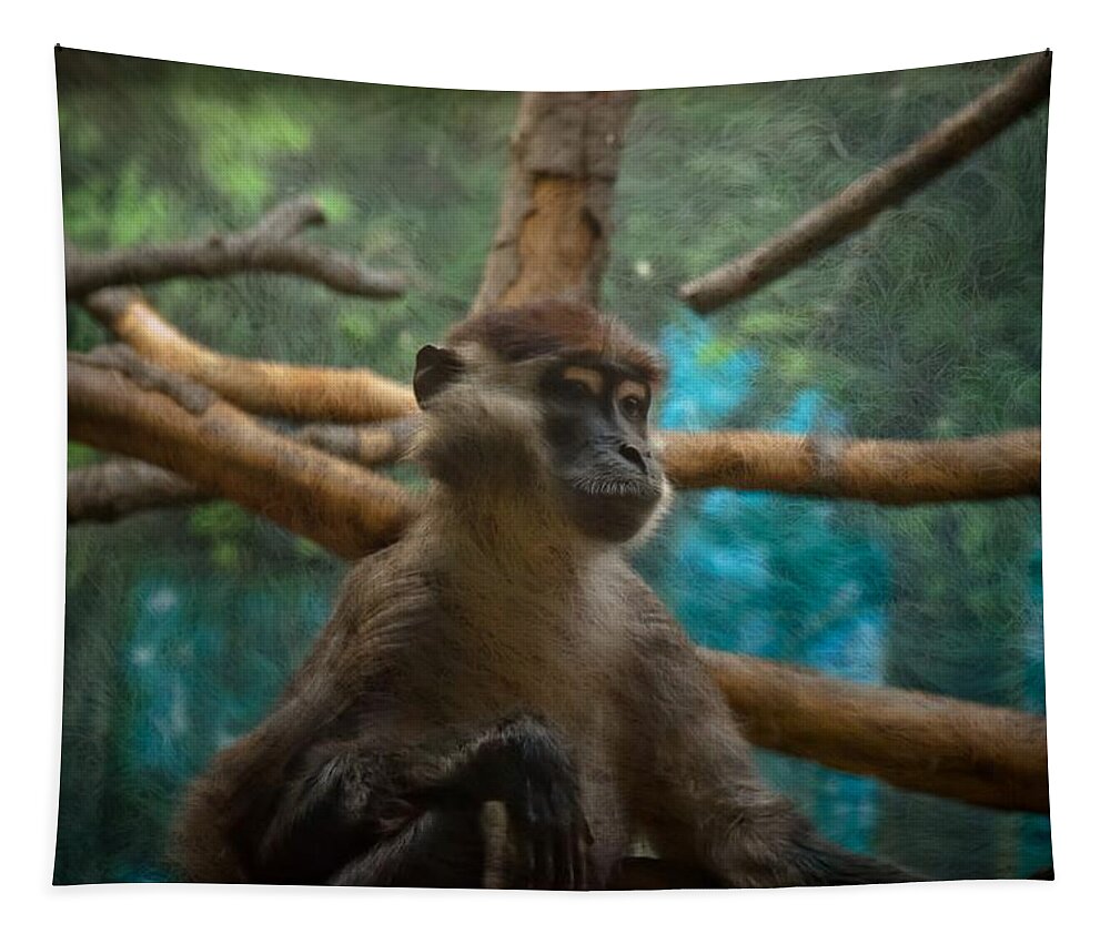 Monkey Tapestry featuring the photograph Courageous by Trish Tritz