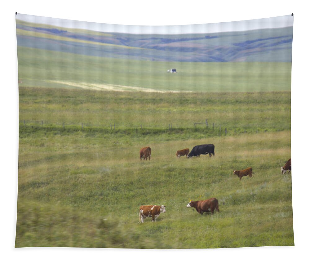 Landscape Tapestry featuring the photograph Cow Herds and Country by Donna L Munro