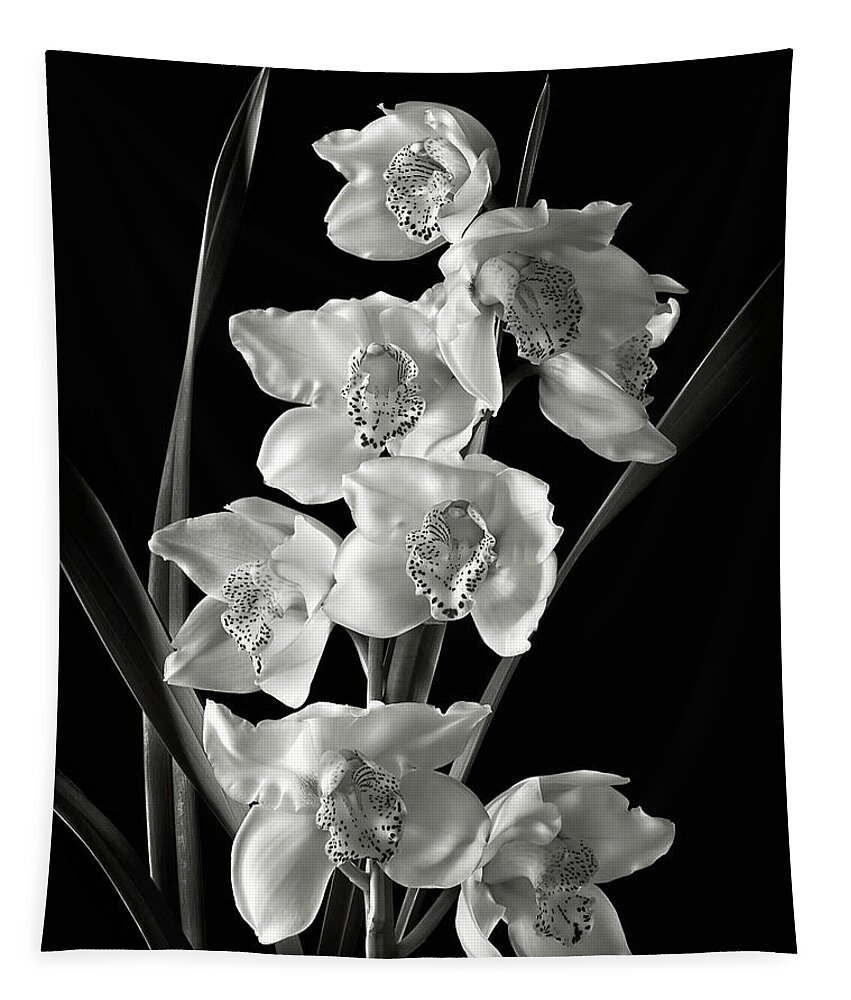 Flower Tapestry featuring the photograph Cymbidium Cluster in Black and White by Endre Balogh
